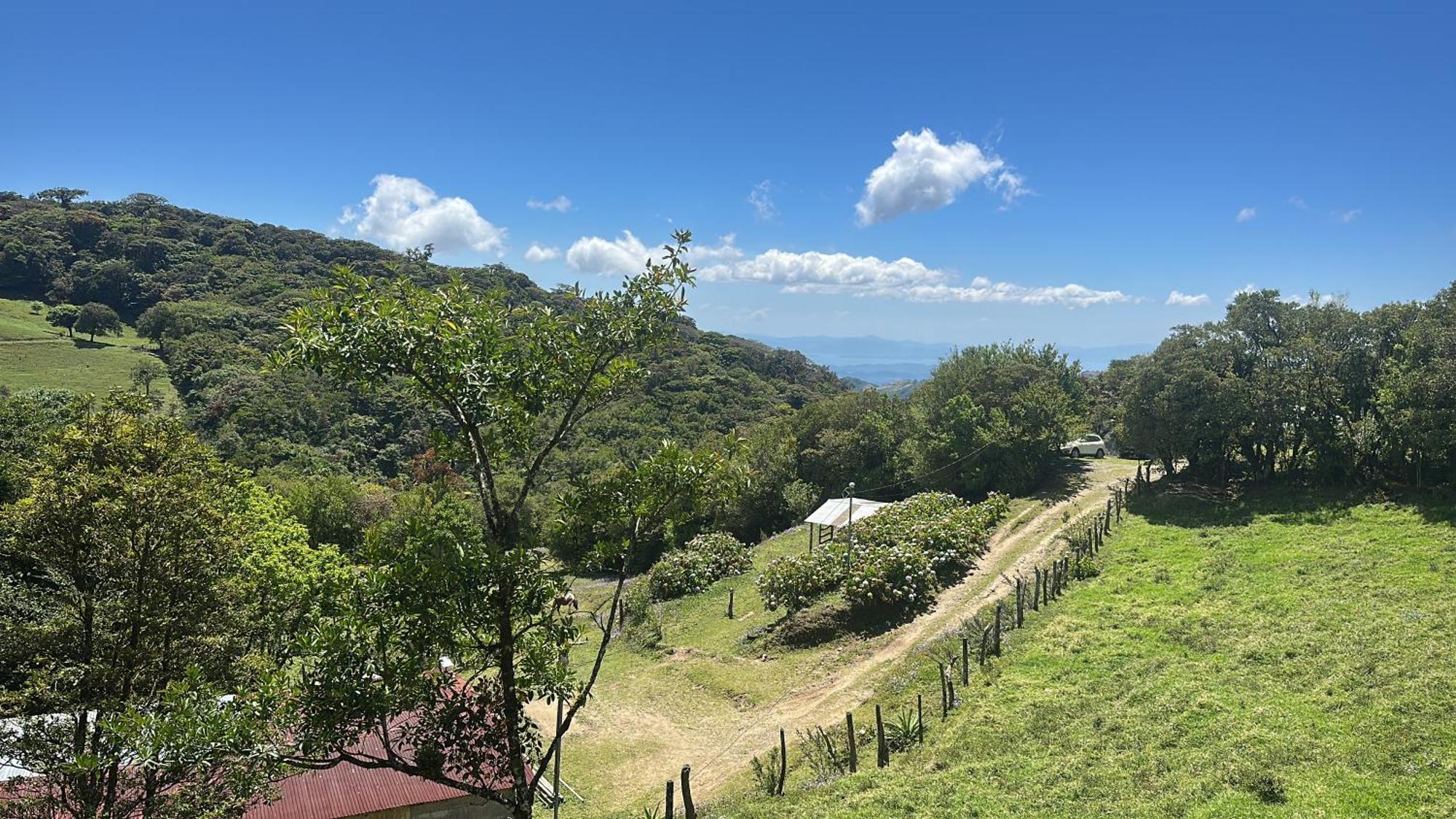 Dadirri House Minicasa Santa Elena Monteverde Екстериор снимка