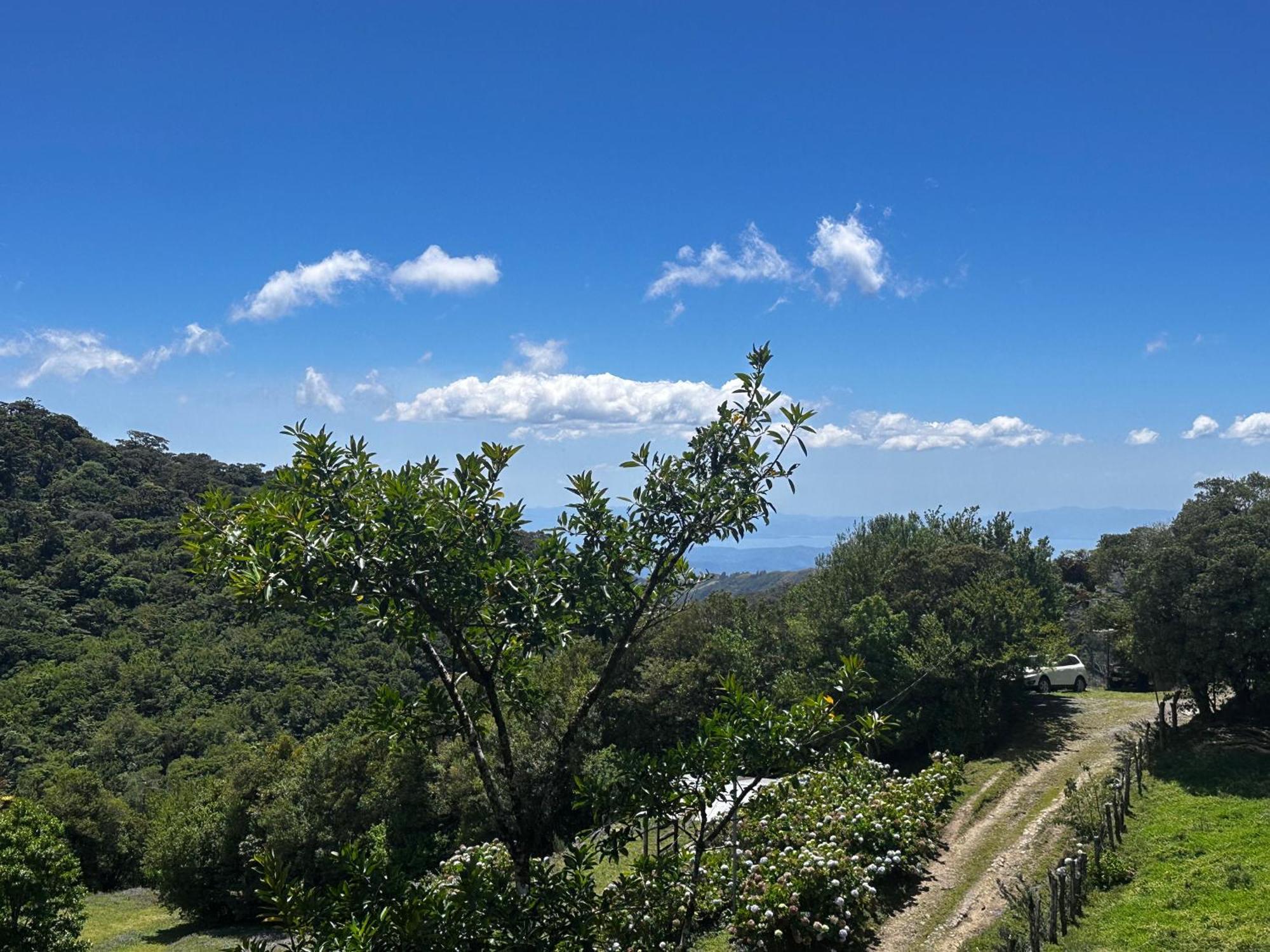 Dadirri House Minicasa Santa Elena Monteverde Екстериор снимка